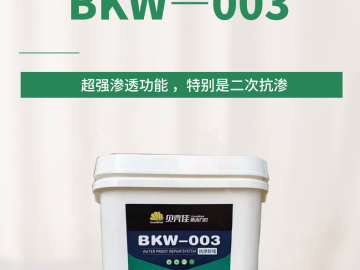 地下室背水面防水系统（BKW-003）