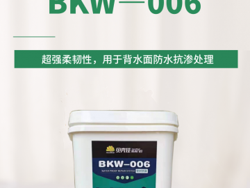地下室背水面防水系统（BKW-006）