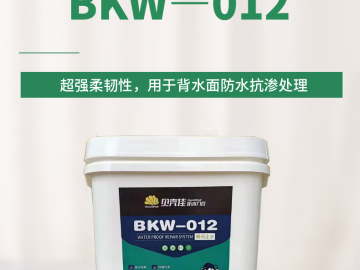 地下室背水面防水系统（BKW-012）